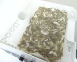 ローフード食品乾燥機でオニオンクラッカー作り方4写真