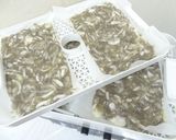 ローフード食品乾燥機でオニオンクラッカー作り方5写真