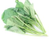 野菜乾燥機でケールを乾燥作り方1写真