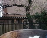 グリーンナチュラル納豆作り方6写真