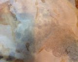 圧力鍋 煮豚作り方6写真