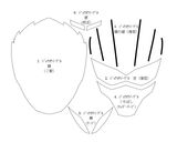 ジュウオウジャー キャラ弁 型紙付作り方26写真