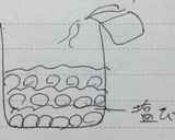 お婆ちゃんの梅干し作り方6写真