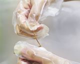 ちゃんと下処理♡ししゃもの焼き方作り方6写真