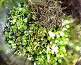 わらびと切昆布の醤油和えをテンペに乗せて作り方4写真