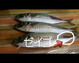 鯵のフライ作り方1写真