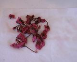 桜香る筍ご飯作り方2写真