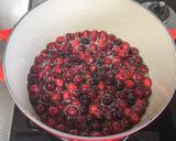 クランベリー☆プレザーブ作り方1写真