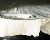 私的☆パン発酵時キッチンペーパーの掛け方作り方7写真