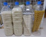簡単に、鶏肉とごぼうの五目炊き込みごはん作り方12写真