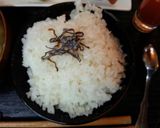 血管プラークダイエット食715（筍朝食）作り方1写真