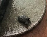 胡麻豆腐でモッチリカップケーキ&HK♡作り方8写真