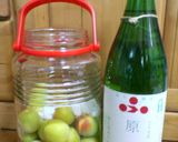 日本酒の梅酒だ～！作り方1写真