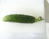 食品乾燥機で干しゴーヤの作り方作り方2写真