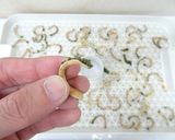 食品乾燥機で干しゴーヤの作り方作り方9写真