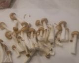鶏ムネやわらか中華風ソテー作り方3写真