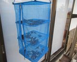 ホタルイカの煮干作り方4写真