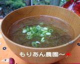 毎朝のみたい♪沖縄もずくのお味噌汁作り方4写真