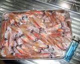 ホタルイカの煮干作り方1写真