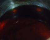 琵琶湖産 川エビと豆の旨煮作り方4写真