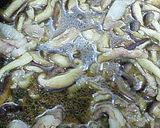 生姜風味のパスタ☆作り方5写真