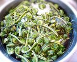 こごめ？こごみ？の下茹で作り方1写真