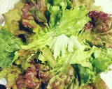 お野菜たっぷり和風のごちそうサラダ作り方8写真