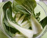 レンジで簡単！青梗菜の麻婆豆腐掛け作り方1写真