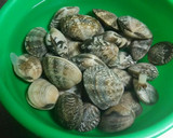 簡単！貝の旨味～あさりの澄まし汁作り方1写真