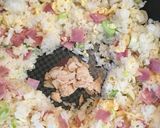 簡単なのに本格的！！パラパラチャーハン作り方5写真
