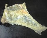パリッパリの鶏皮プレス焼き作り方1写真