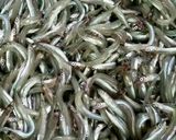 いかなごのくぎ煮作り方1写真