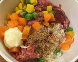 簡単♪お弁当にも♪ハンバーグ風春巻き作り方1写真