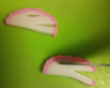 お弁当用☆かまぼこ簡単飾り切り作り方3写真
