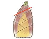 基本♪たけのこのゆで方作り方1写真