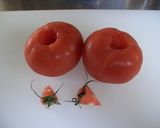 しらすとトマトソースのパスタ作り方2写真