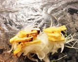 まるごと新たまねぎの生春巻きサラダ作り方6写真