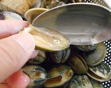 愛知の魚100選　アサリの串揚げ作り方6写真