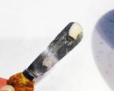 超簡単！フランスパンのトマトバジルのせ♡作り方2写真