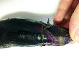 簡単☆レンジで焼かない焼きナス作り方1写真