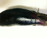 簡単☆レンジで焼かない焼きナス作り方2写真