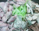 粉山椒炒め作り方4写真