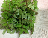 筍の木の芽和え作り方1写真
