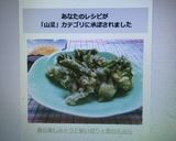 春の楽しみ☆ウド使い切り☆葉の天ぷら作り方7写真