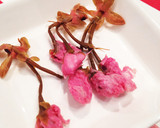 フワッと咲いた。桜の塩漬け使い方コツ作り方3写真