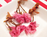 フワッと咲いた。桜の塩漬け使い方コツ作り方4写真