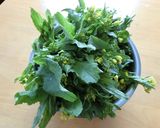 たくさん食べられる♪菜の花のゴマ酢味噌作り方1写真