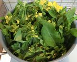 たくさん食べられる♪菜の花のゴマ酢味噌作り方3写真