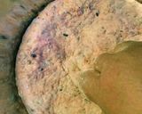 ご飯パン 【桜餅バージョン】2016作り方8写真