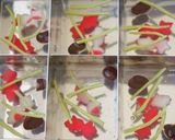 金魚の錦玉羹作り方16写真